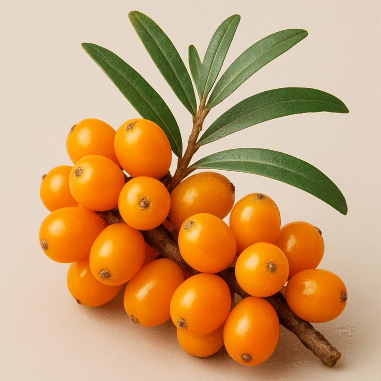 Die wohltuende Wirkung von Sanddorn